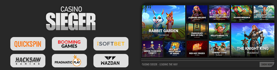 Casino games and providers showcase image.
